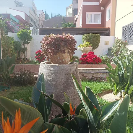 Casa Quico 5 * سانتا كروز دي تينيريف