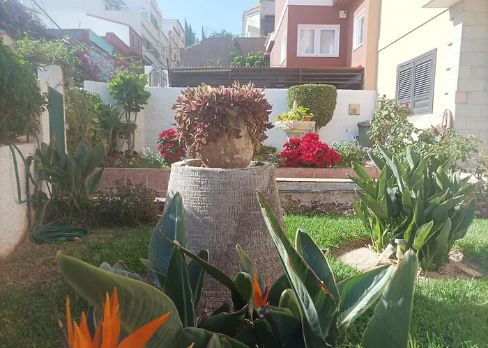 Casa Quico 5 * Santa Cruz de Tenerife